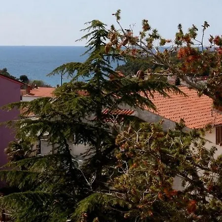 Holiday home Pina *